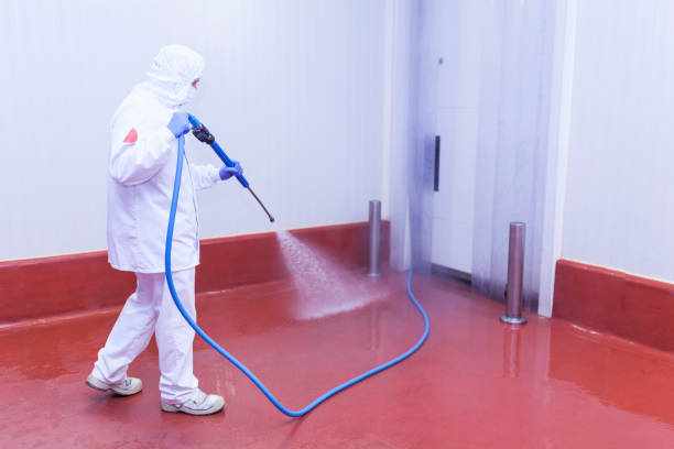 Best Roof Washing  in Prescott, WI